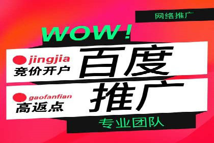 专业SEM托管服务，案例展示精准营销成果